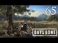 Days Gone - Let's Play Part 65: You Can't Do This Alone