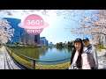 JAPON VR 360° Sakura fubuki pour nos noces de chypre Kôkyo gaien Tôkyô Vidéo sphérique immersion 4K