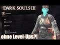 Kannst du Dark Souls 3 ohne Level-Ups durchspielen?!