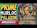 NEW MURLOCS ROCK!! Murgurgle and Felfin Make Murloc Paladin Great! | Ashes of Outland | Hearthstone
