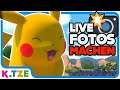 New Pokemon Snap Livestream 📸😁 Gemeinsam Fotos machen | K.Tze