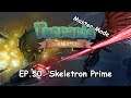 TERRARIA 1.4 Master Mode - EP. 50: Skeletron Prime