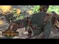 WILD SHOWDOWN vs TURIN - Wood Elves vs Norsca // Total War: Warhammer II Online Battle