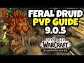 9.0.5 Feral Druid Shadowlands PvP Guide | Talents, Legendaries, Covenants and more!