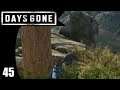 Anarchy Rules - Days Gone - Part 45