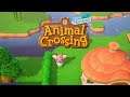 Animal Crossing - New Horizons #2