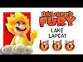 Bowser’s Fury Lake Lapcat Cat Shines