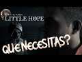 DANIEL Y TAYLOR ATRAVIESAN LA GASOLINERA - Little Hope #7