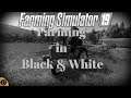 Farming in Black & White| #1 | Farming Simulator 19 | Minirbrunn