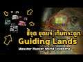 ชี้จุด ขุดแร่ เก็บกระดูก [ ทุกตำแหน่ง ] ใน Guiding Lands | Monster Hunter World: ICEBORNE