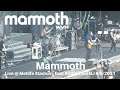 Mammoth WVH - Mammoth LIVE @ Metlife Stadium East Rutherford New Jersey 8/5/2021