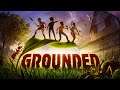 MY NEW FAVORITE SURVIVAL GAME GROUNDED WHERE WERE WE ?
