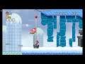 Newer Super Mario Bros Wii Low% Run - 5-5 Snowfall Peak
