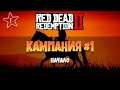 Red Dead Redemption 2 | Кампания #1 | Начало