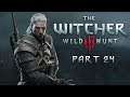 SingSing The Witcher 3: Wild Hunt - Part 24