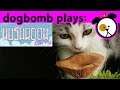 YBN Review: Mushroom Cats