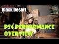 [Black Desert] PS4 Performance and Overview: How Does it Compare to PC?