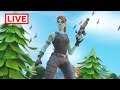 Fortnite live with viewers