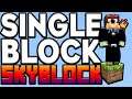 MineCraft Skyblock, But with only a Single Block