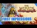 Oculus Quest | The Wizards First Impressions