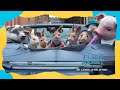 Peter Rabbit Conejo en Fuga  | Doblado en español [HD] | Evento