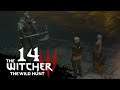 The Witcher 3 The Wild Hunt Episode 14: Killing Frost