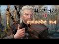 The Witcher 3: Wild Hunt #314 - Pimp my Geralt, Next Generation Character Setup