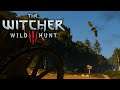 THE WITCHER 3: WILD HUNT ⚔️ DER GREIF: Ein edles GESCHÖPF | #002