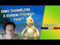 Wow a random shiny!?! while hunting for Tapu bulu in Dynamax raid