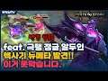 [Arduin 알두인] 팀플 빡겜용, 핵사기 뉴메타 이거 못막습니다. ^^ // 펜타스톰,aov,rov