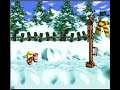 Donkey kong country 3 dixie kong double trouble
