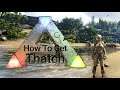 How To Get Thatch In Ark Survival Evolved