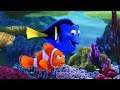 JANGAN RUSAK BIOTA LAUTAN! NAMATIN Finding Nemo