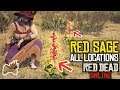 RED DEAD ONLINE Where's the Red Sage? 4 Locations Found - Daily Challenges | RDO