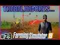 29 - Trabalhador Troll - Farming Simulator 19