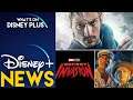 Aaron Taylor-Johnson Joins Kraven The Hunter + Jungle Cruise Trailer Released | Disney Plus News