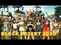Black Desert Online PS4 ➤ КРАТКИЙ ОБЗОР ВСЕХ КЛАССОВ ДЛЯ НОВИЧКОВ