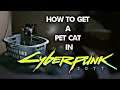 How to Get A Pet Cat in Cyberpunk 2077