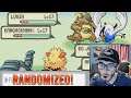 Pokemon Emerald Nuzlocke With RANDOM POKEMON! (Part 2)