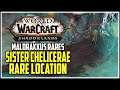 Sister Chelicerae Rare Location Maldraxxus WoW Shadowlands