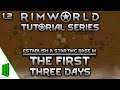 1.2 Tutorial Series | The First Three Days | Rimworld 2020