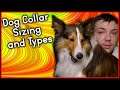 How To Size Your Dog's Collar and What Type Is The Best? | MumblesVideos