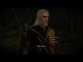 Let's Play The Witcher 3 Wild Hunt Ps4 Part 12 The Ghost In The Tree
