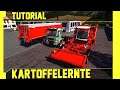 LS19: Kartoffeln Tutorial: Kurz, leicht und verständlich erklärt
