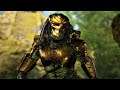 Predator: Hunting Grounds Level 150 Predator Berserker Class Gold Armor 1080p 60fps PC ULTRA #64