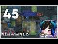 Qynoa plays RimWorld #45