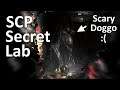 SCP: Secret Laboratory Shenanigans 32