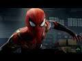 Spider-Man vs Tombstone (Hybrid Suit - Spider-Man: No Way Home)