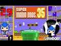 Super Mario Bros. 35 | Episode 29 | RIP 6-3 | PunkinRePlays