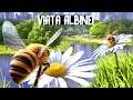 VIATA unei ALBINE ! Bee Simulator